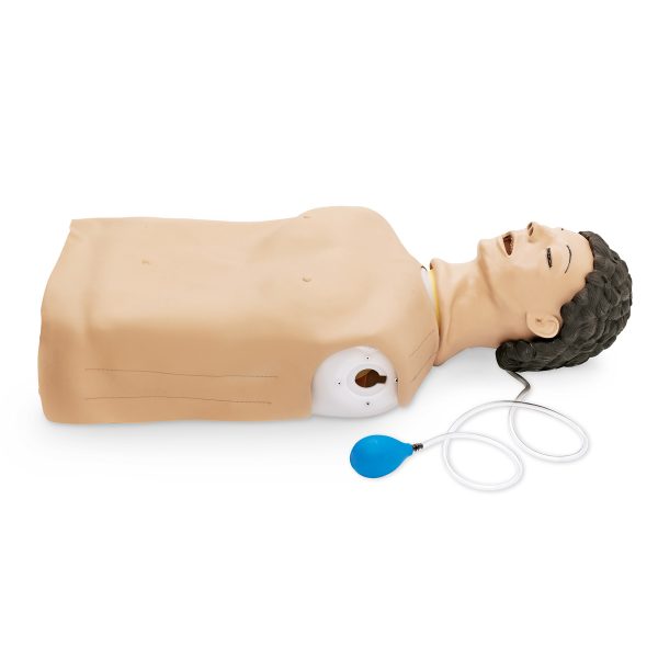 Adult Airway Management Trainer