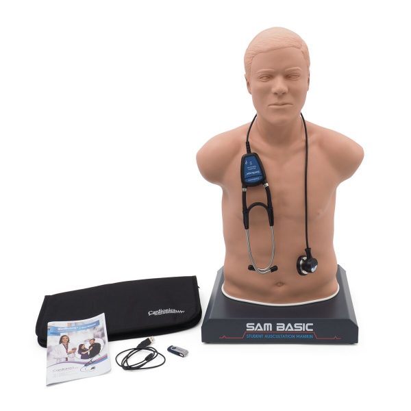 SAM Basic® - Affordable Adult Auscultation Manikin, light skin tone