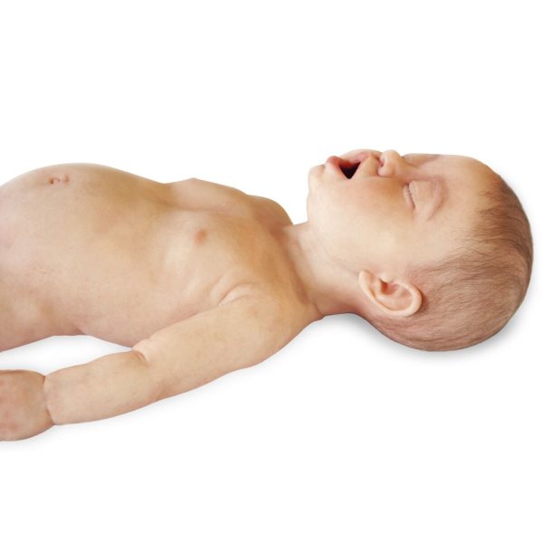 Infant (3-6 months old)