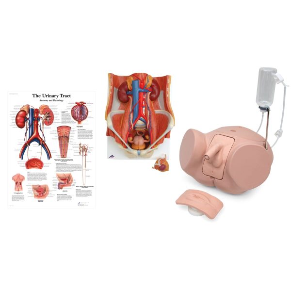 Dual Sex Catheterization Pro Set