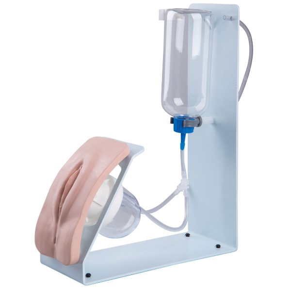 Catheterization Simulator Basic-Female, Light Skin