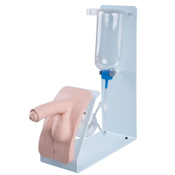 Catheterization Simulator Basic-Male, Light Skin