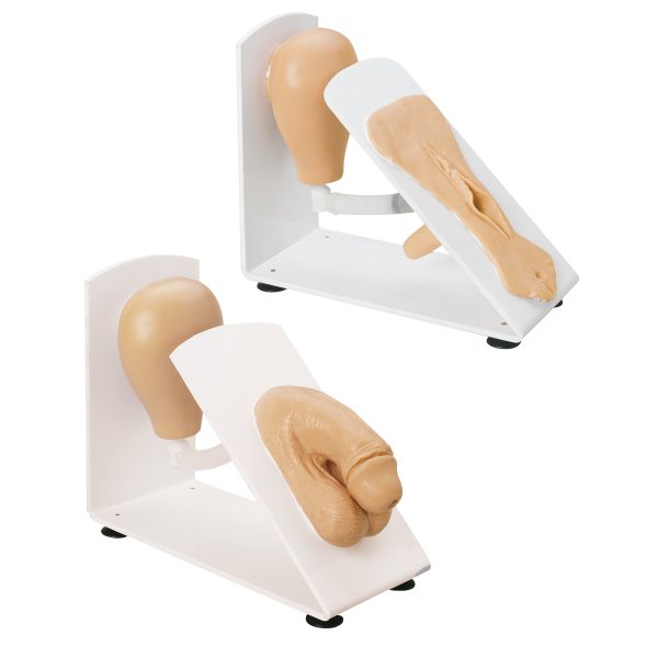 Male & Female Catheterization Trainers Model Set