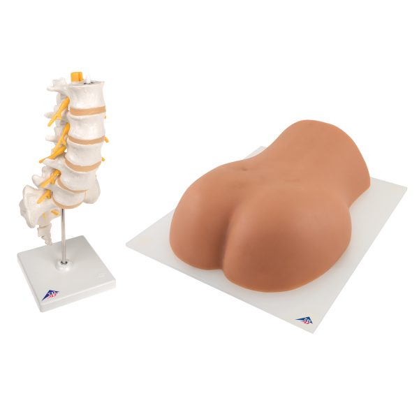 Lumbar Spinal Injection Set