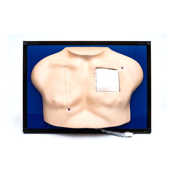 Deluxe Venous Access Device Model