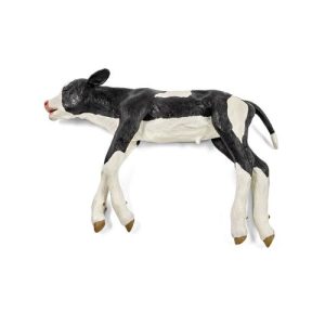 Holstein Dystocia Calf Model