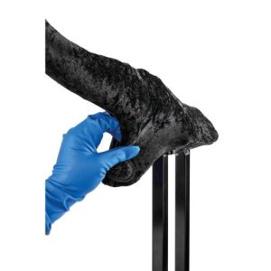 Holstein TB Caudal Fold Tail, Full Set