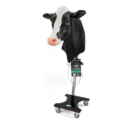Holstein Venipuncture Intramuscular Injection with Stand