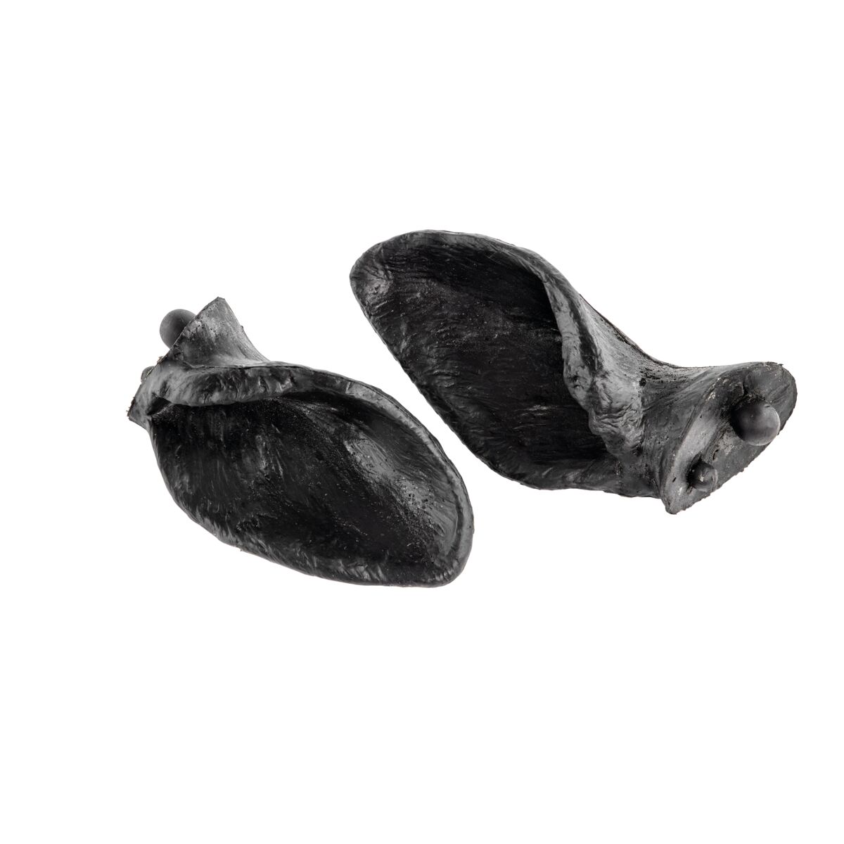 Holstein Captive Bolt Tagging Ears