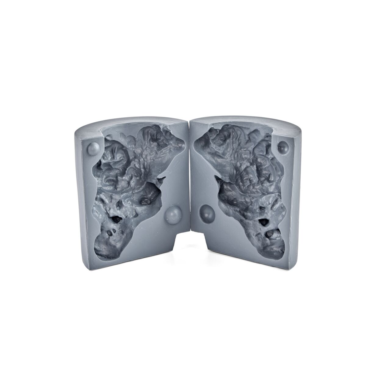 Large Reusable Brain Canister - Bovine & Steer