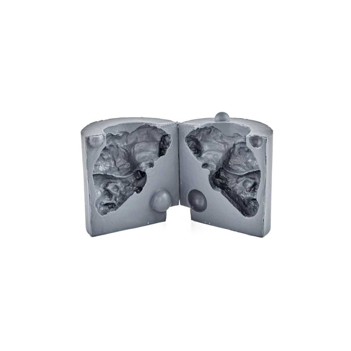 Medium Reusable Brain Canister - Sow & Market Hog