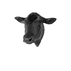 Market Steer Captive Bolt Gun