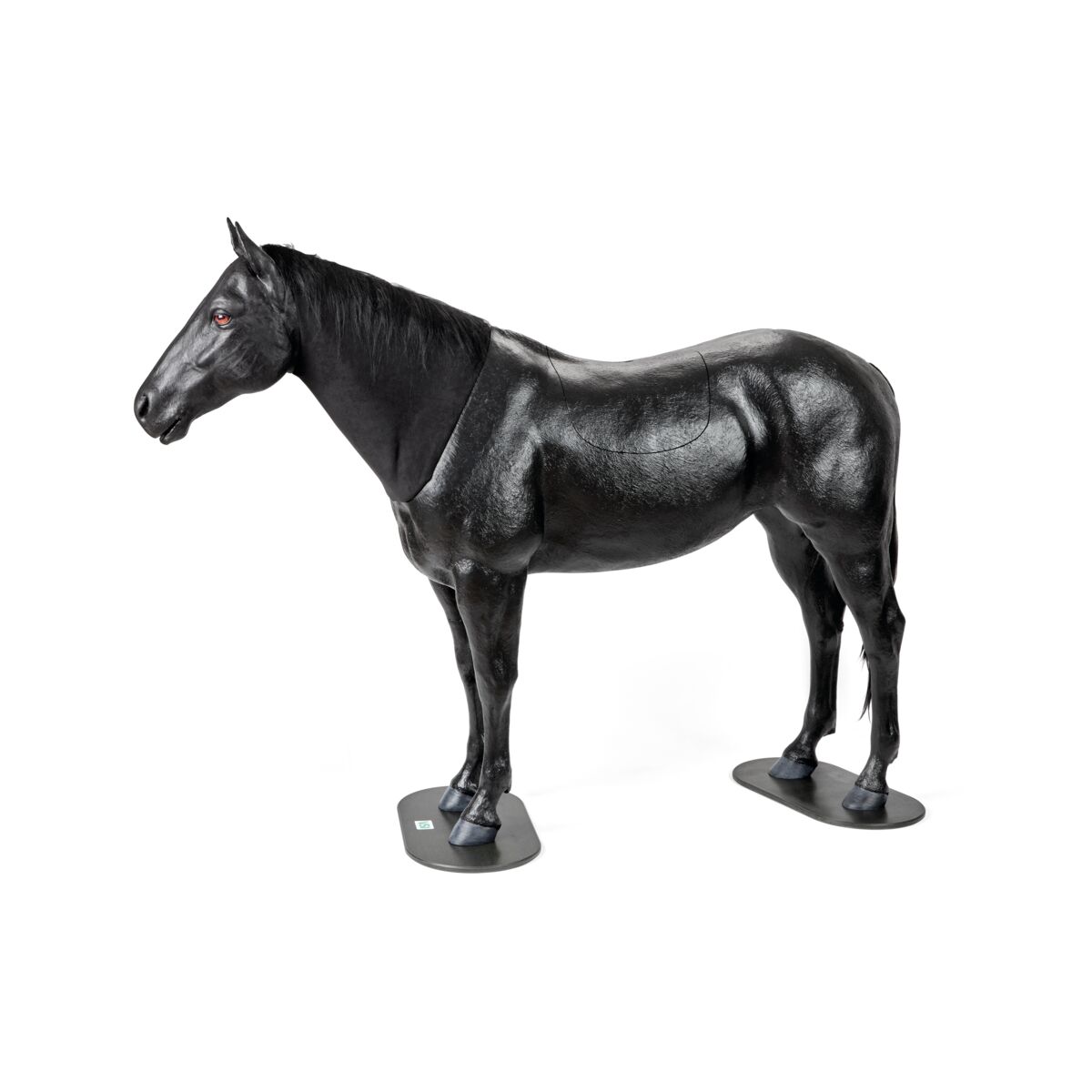 Equine Palpation Colic Simulator