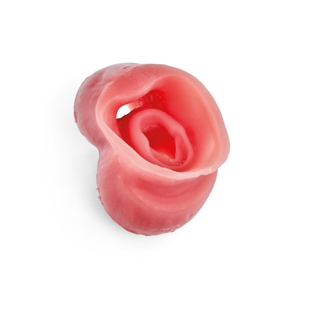 Canine Dental Laryngopharynx Component