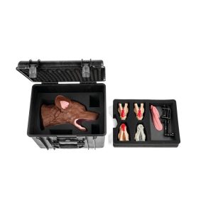 Canine Dental Surgical Package, Brown