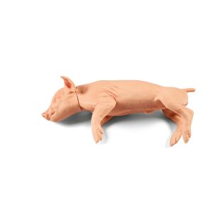 Non-Penetrating Small Piglet 3kg