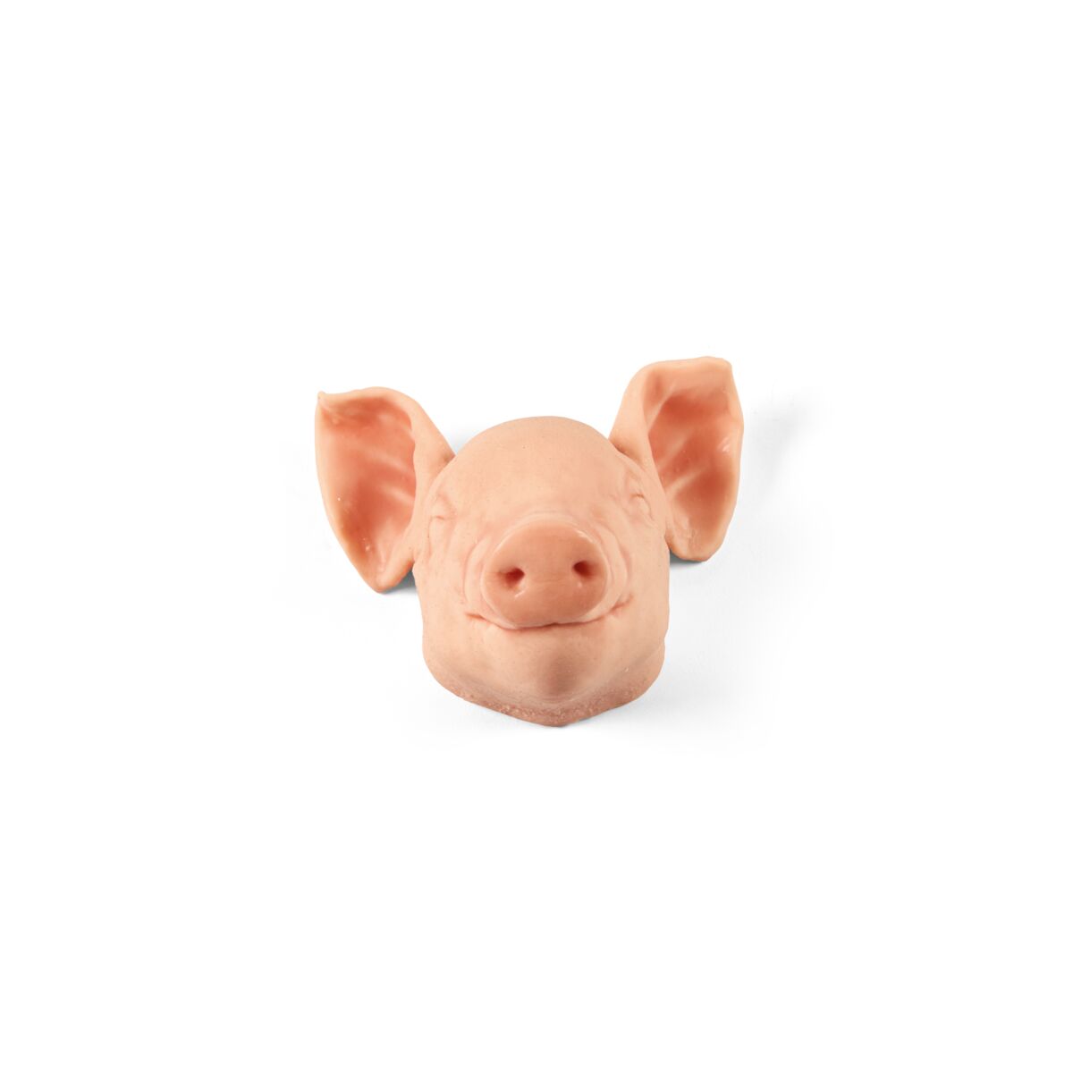 Non-Penetrating Small Piglet 3kg Head