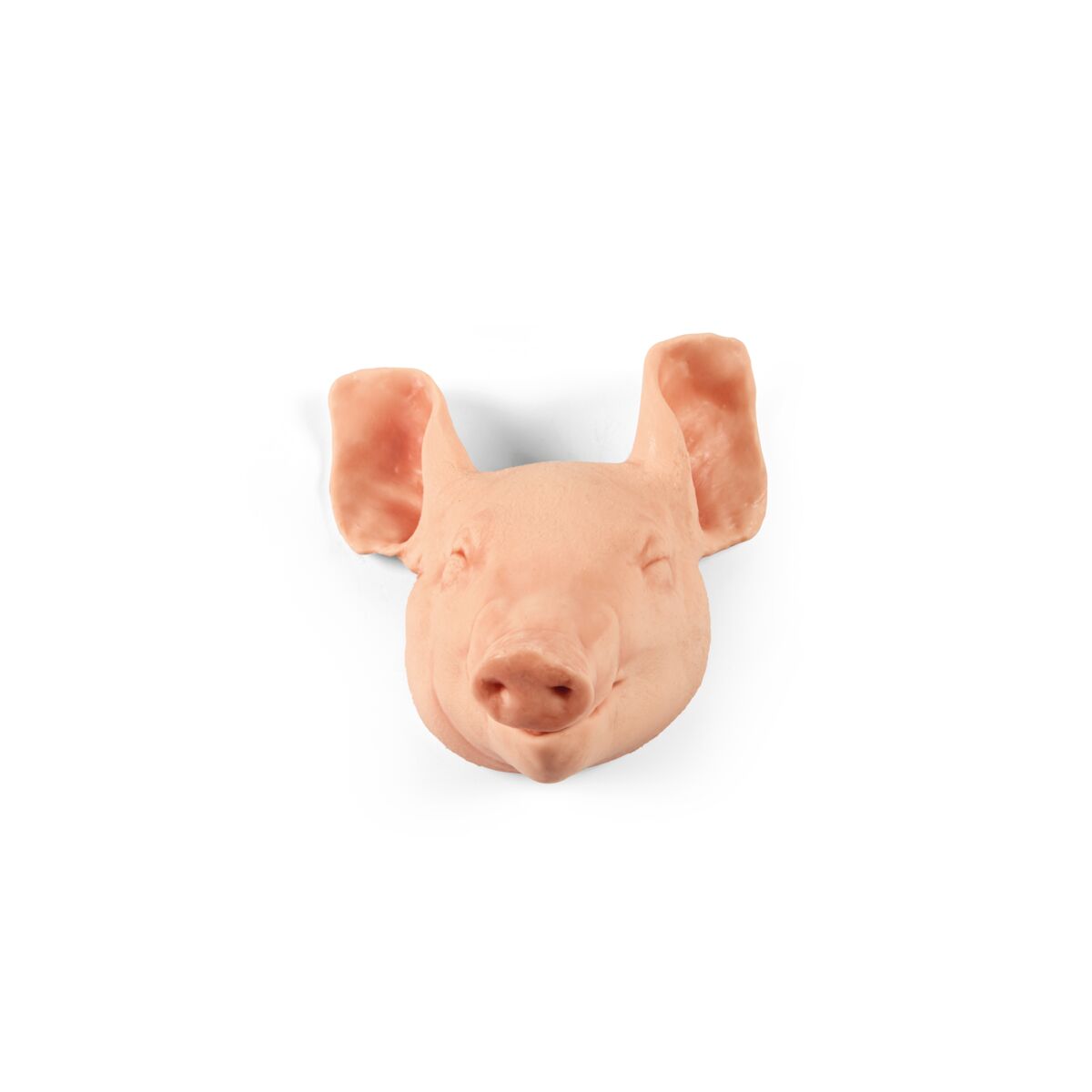 Non-Penetrating Large Piglet 9kg Head